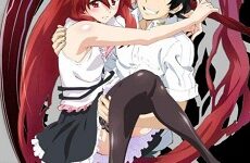 Dakara Boku wa, H ga Dekinai.