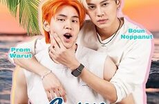 Even Sun Series