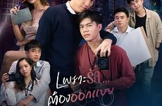 Loveless Society