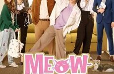 Meow Ears Up
