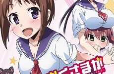 Okusama ga Seitokaichou!