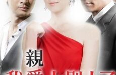 A Good Wife