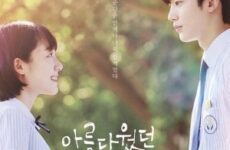 A Love So Beautiful