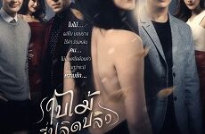 Bai Mai Tee Plid Plew