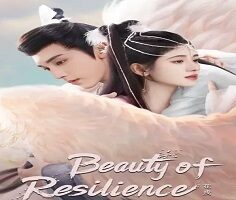 Beauty of Resilience