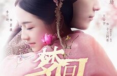 Dreaming Back to the Qing Dynasty