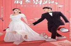 Ex-Wife Stop 2022 (Çin)