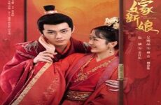 Fated to Love You