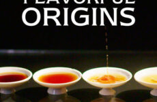 Flavorful Origins