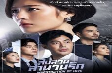 Investigation of Love
