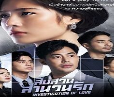 Investigation of Love