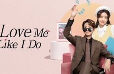 Love Me Like I Do