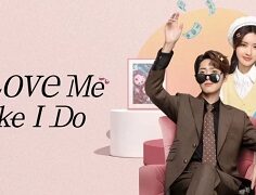 Love Me Like I Do