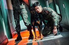 Military Prosecutor Doberman