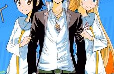 Nisekoi
