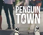 Penguen Kolonisi
