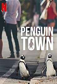 Penguen Kolonisi