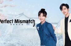 Perfect Mismatch