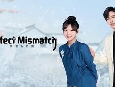 Perfect Mismatch