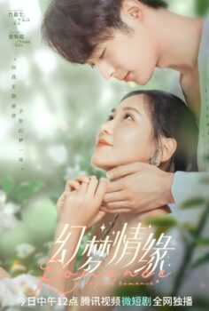 Romance Beyond Romance