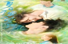 Summer in Love