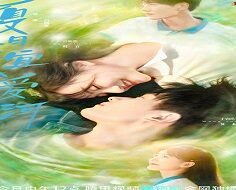 Summer in Love