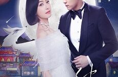 The Love Knot: His Excellency’s First Love