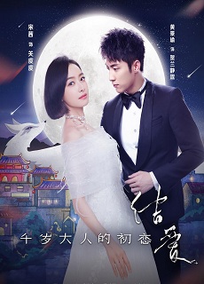 The Love Knot: His Excellency’s First Love