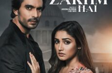 Tu Zakhm Hai