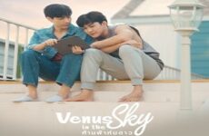 Venus in the Sky