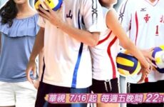 Volleyball Lover