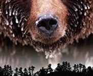 Wild Canada